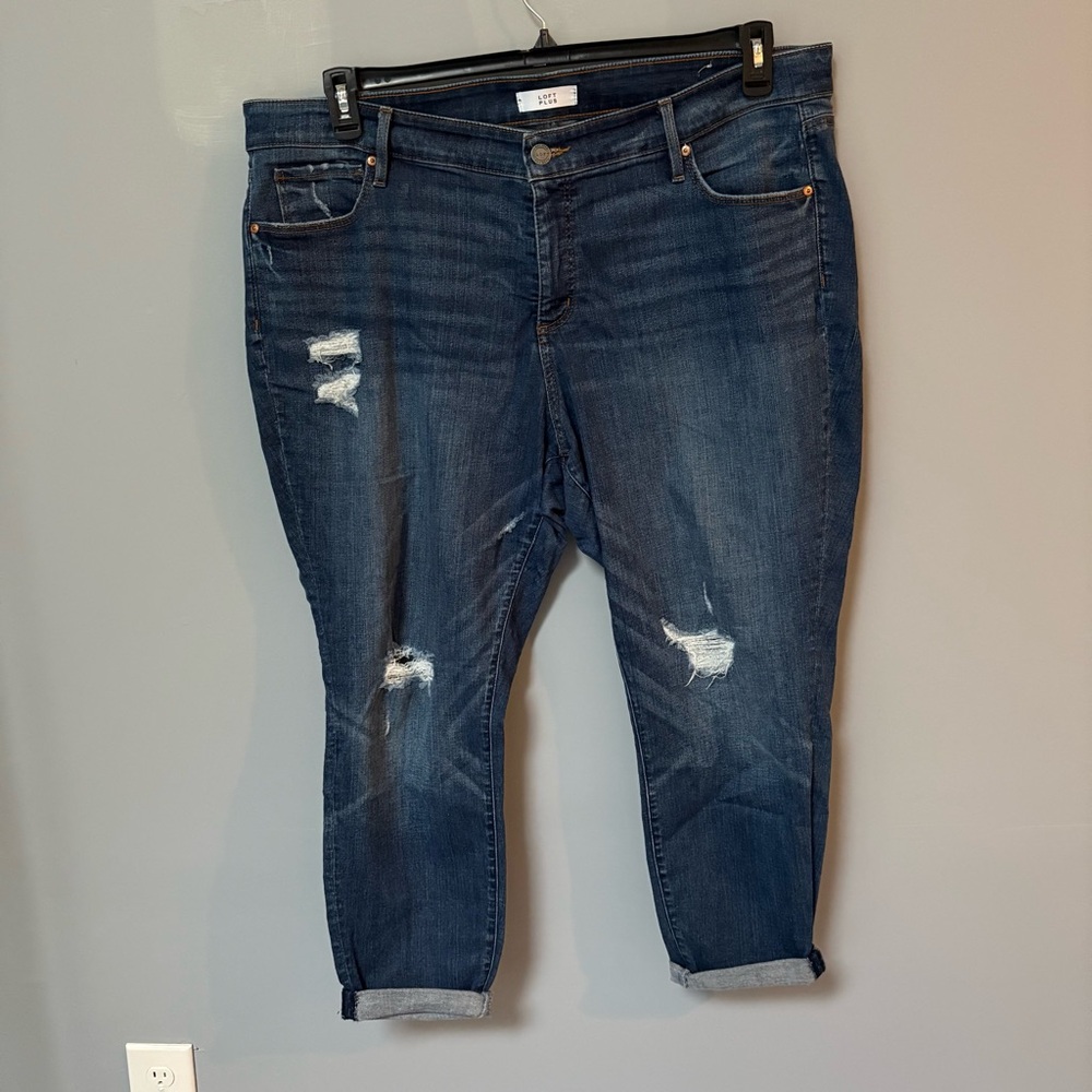 LOFT plus modern skinny  Distressed Jeans plus size 18